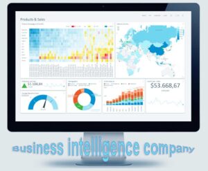 Business intelligence company